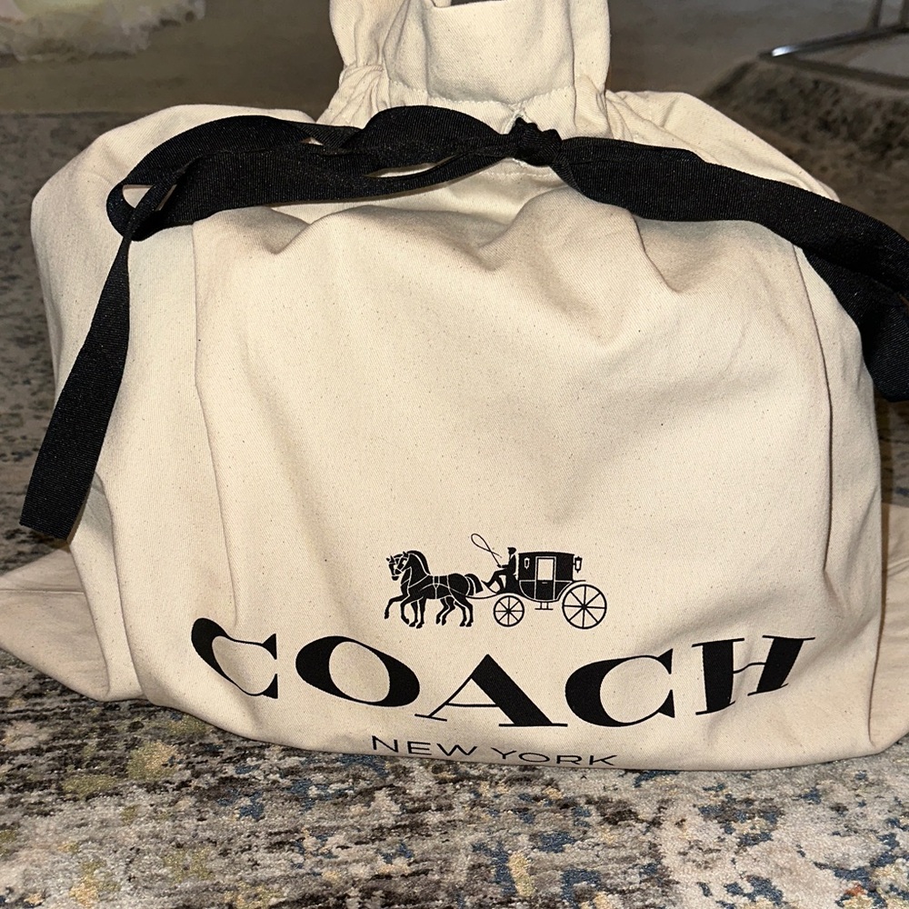 Coach Edie tote in Black and Teal with python trim - Picture 13 of 13